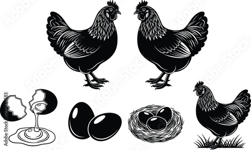 Set of black and white silhouettes featuring hens, eggs, a nest, and a cracked egg, representing poultry, farm life, food production, and rustic nature.