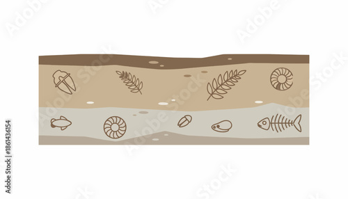 Geological strata depicting fossils, layers of earth, and ancient life forms found in archaeological digs and paleontology studies