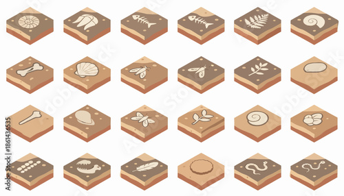 Fossil Collection Icons of Ancient Life and Paleontology Discoveries
