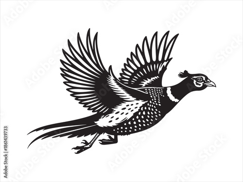 Flying Pheasant Bird Vector. Flying pheasant bird silhouette vector illustration