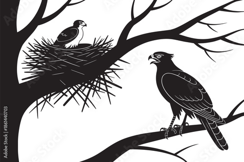 Adult falcon calling to young chick in nest silhouette on old tree branch in forest landscape