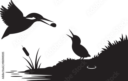 Kingfisher silhouette feeding chick black white vector illustration for wildlife nature design