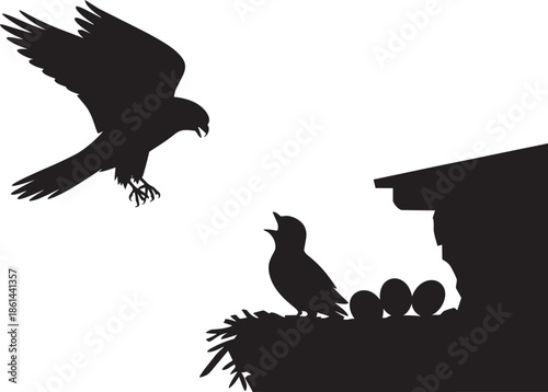 Raptor bird silhouette attacking nest with eggs beneath eaves of structure design