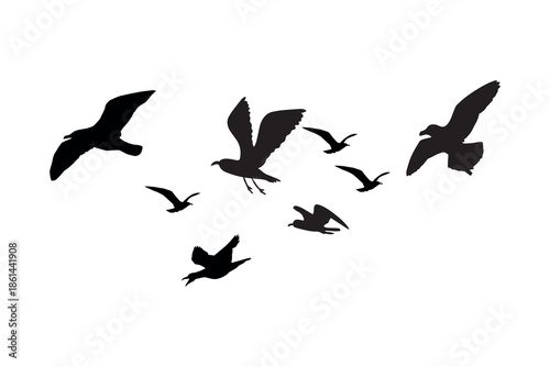 Flock of seagulls flying silhouette isolated on white background vector illustration
