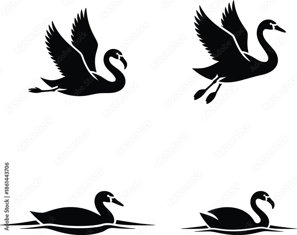 Fototapeta premium A collection of silhouetted black swans in various poses, including flying and swimming, against a white background.