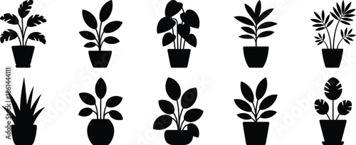 A collection of various potted houseplants is depicted as black silhouettes against a white background.