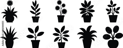 A collection of ten potted plant silhouettes in black and white.