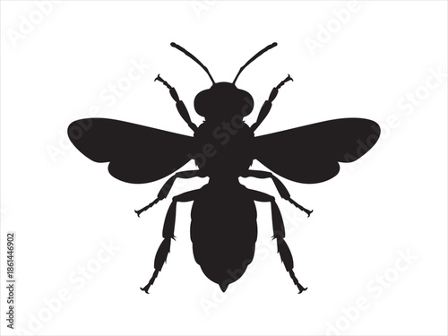 Honey Bee icon, honey bee silhouette vector illustration 