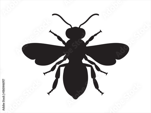 Honey Bee icon, honey bee silhouette vector illustration 