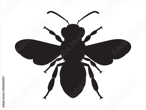 Honey Bee icon, honey bee silhouette vector illustration 