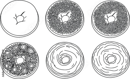 Outline illustration set of 6 Bagel toppings plain bagel sesame seed poppy seed everything bagel and cream cheese smear