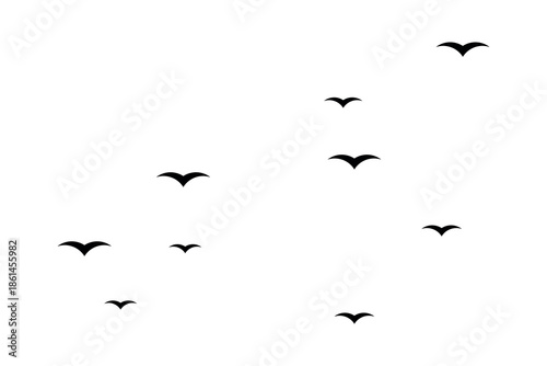Abstract Skyward Flock of Birds in Minimalist Silhouette Composition
