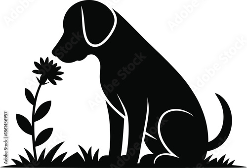 Cat Watching Stars Through Window