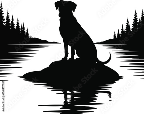 Dog Sitting on Lake Rock
