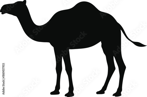 Camel silhouette illustration, desert animal profile, Arabian wildlife symbol, travel safari concept, isolated black vector graphic design