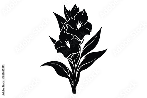 gladiolus silhouette line art vector illustration with a white background