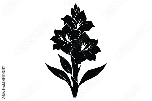 gladiolus silhouette line art vector illustration with a white background