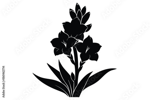 gladiolus silhouette line art vector illustration with a white background