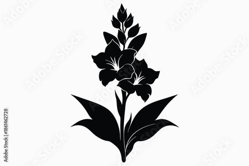 gladiolus silhouette line art vector illustration with a white background