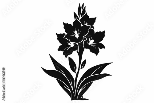 gladiolus silhouette line art vector illustration with a white background