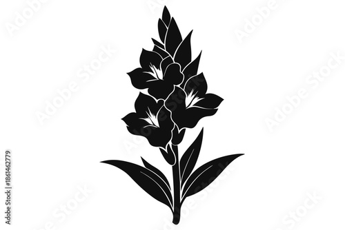 gladiolus silhouette line art vector illustration with a white background