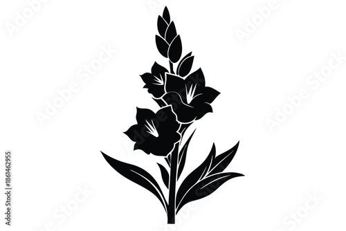 gladiolus silhouette line art vector illustration with a white background