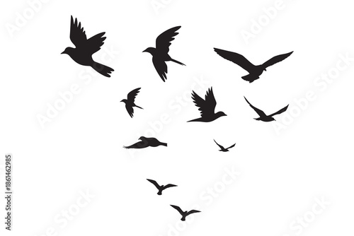 Flock of Flying Birds Silhouette in Dynamic Formation