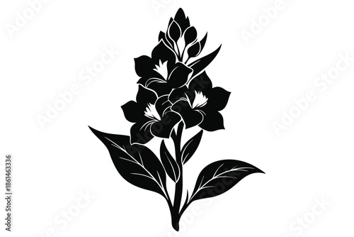 gladiolus silhouette line art vector illustration with a white background