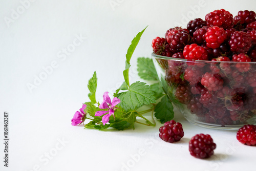 Fresh arctic raspberry (Rubus arcticus) berries in glass bowl with leaves and flowers on white background