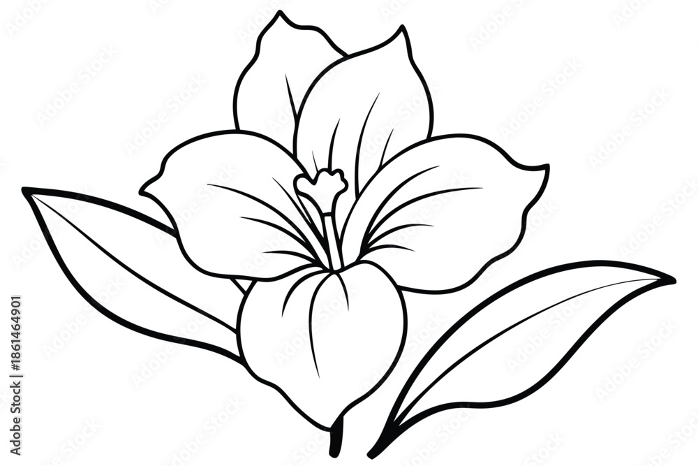 Obraz premium gladiolus silhouette line art vector illustration with a white background