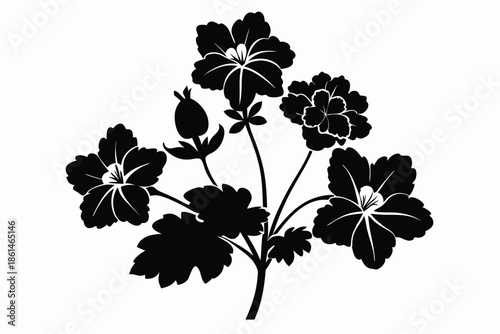geranium silhouette line art vector illustration with a white background
