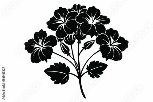 geranium silhouette line art vector illustration with a white background