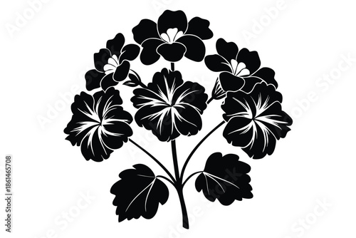geranium silhouette line art vector illustration with a white background