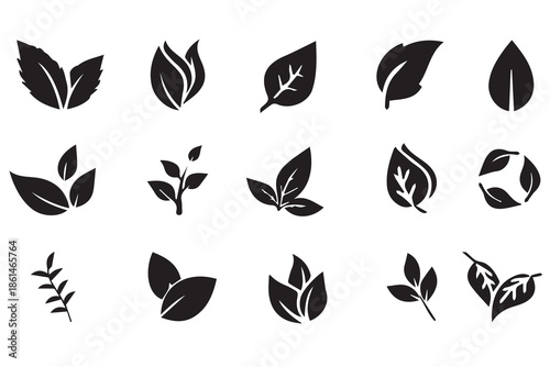 Green leaves big vector collection - Set of graphical elements with various leaf designs in different shapes and sizes. Flat design with white background