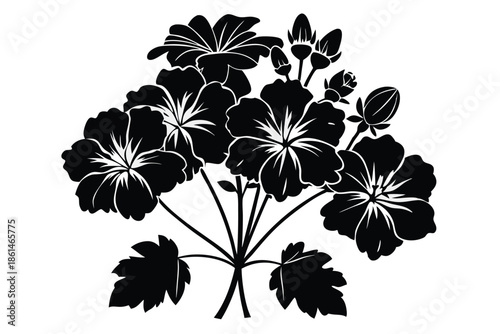 geranium silhouette line art vector illustration with a white background