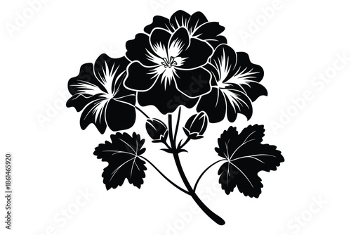 geranium silhouette line art vector illustration with a white background