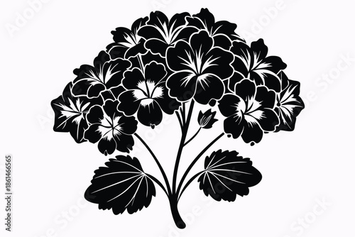 geranium silhouette line art vector illustration with a white background
