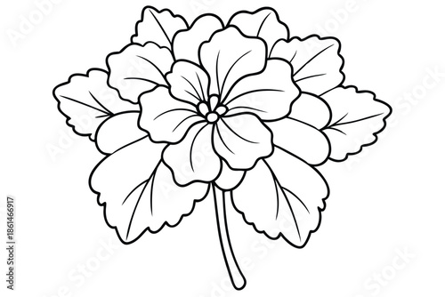 geranium silhouette line art vector illustration with a white background