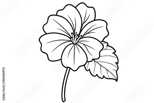 geranium silhouette line art vector illustration with a white background