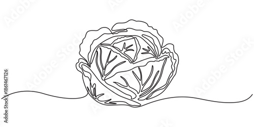 Lettuce bunch, vector illustration isolated on white background, Continuous one single minimal line drawing Lettuce, Lettuce continuous one line drawing, Lettuce Drawing, Lettuce Hand Drawn Icon.