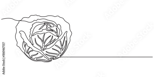 Lettuce bunch, vector illustration isolated on white background, Continuous one single minimal line drawing Lettuce, Lettuce continuous one line drawing, Lettuce Drawing, Lettuce Hand Drawn Icon.