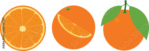 Minimal Orange Fruit Illustration Set with Whole Orange Slice and Cross Section Views for Healthy Food Concepts, Citrus Nutrition Designs, Packaging, and Grocery Graphics