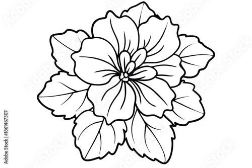 geranium silhouette line art vector illustration with a white background