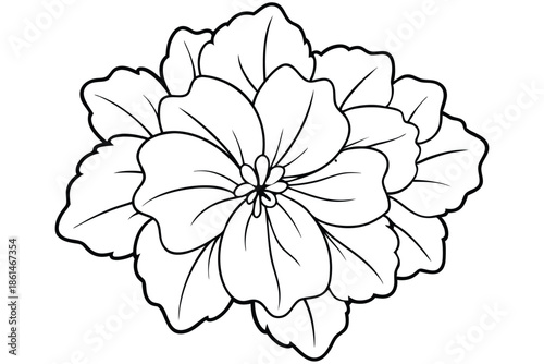 geranium silhouette line art vector illustration with a white background