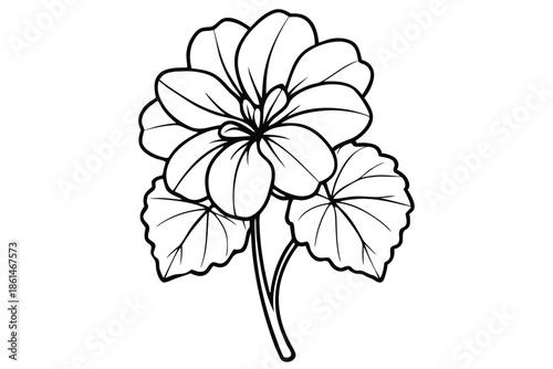 geranium silhouette line art vector illustration with a white background