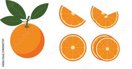 Fresh Orange Fruit Illustration Set Showing Whole Orange, Slices, and Segments for Healthy Food Concepts, Citrus Nutrition Designs, Recipes, Packaging, and Grocery Graphics