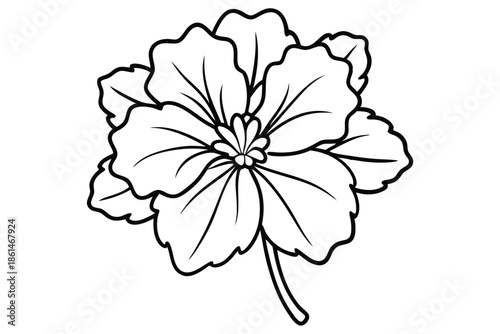 geranium silhouette line art vector illustration with a white background