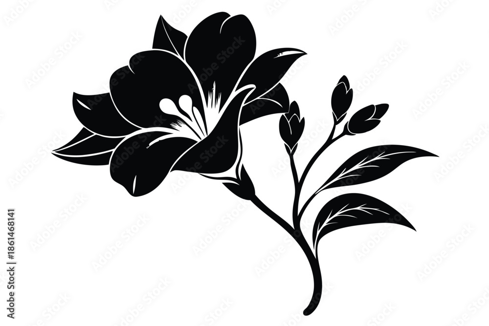 Obraz premium freesia silhouette line art vector illustration with a white background