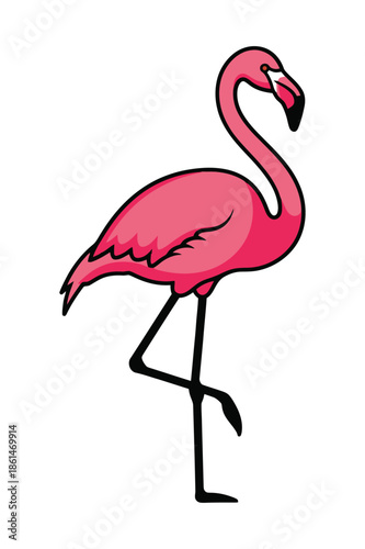 Pink flamingo vector illustration standing on one leg isolated on white.