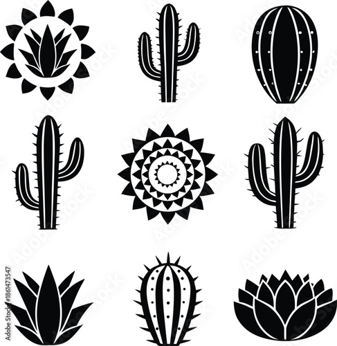 Cactus, succulent, plant, desert, nature, botany, flower, summer, tropical, garden, pot, decoration, spike, flora, exotic